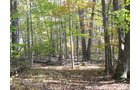 Property photo 2 - 212 Acres Offered in 6 Tracts - Selling Regardless of Price
